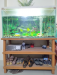 Aquarium For Sale